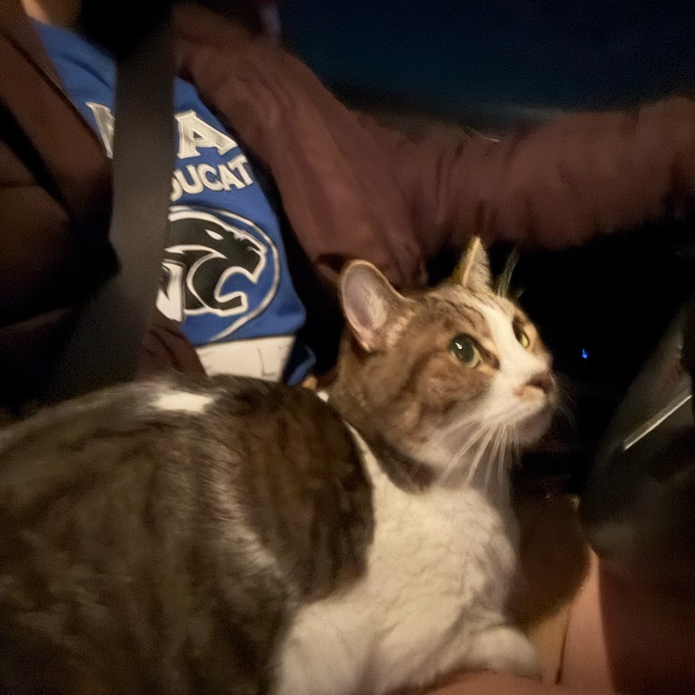 Meet your Posher, Celina